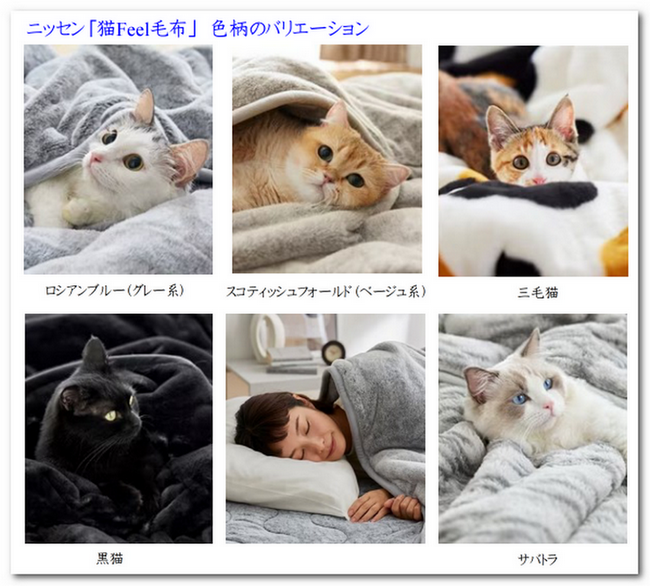 ニッセンの「猫Feel毛布」 色柄バリエーション